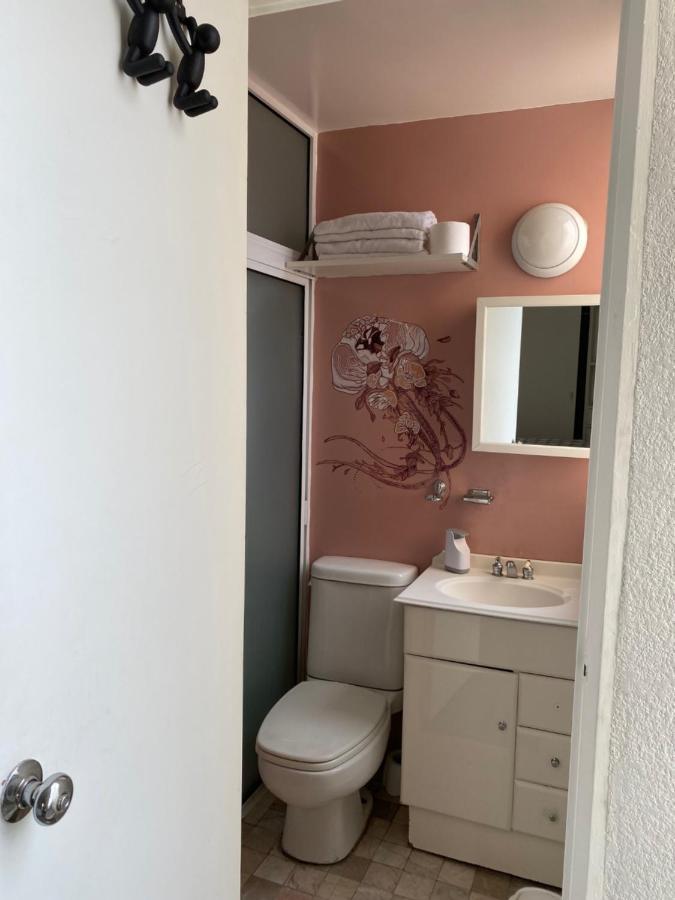 Increible Departamento En La Del Valle Meksyk Zewnętrze zdjęcie