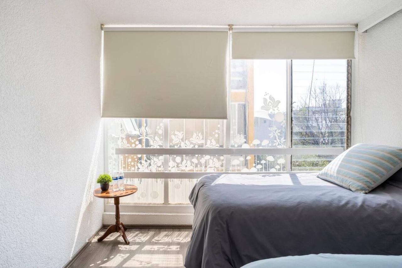 Increible Departamento En La Del Valle Meksyk Zewnętrze zdjęcie